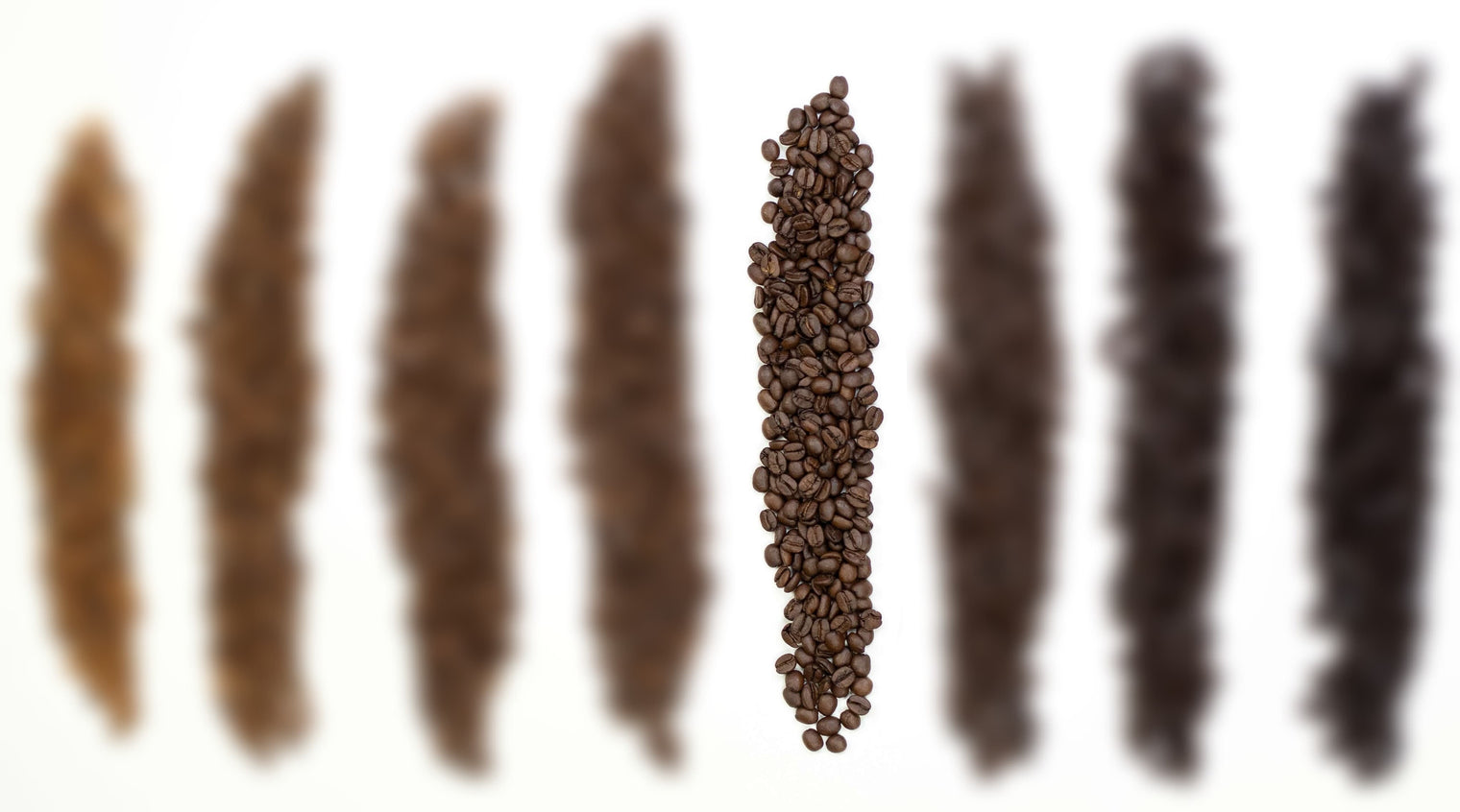 Vienna Roasts Ethiopia Yirgacheffe