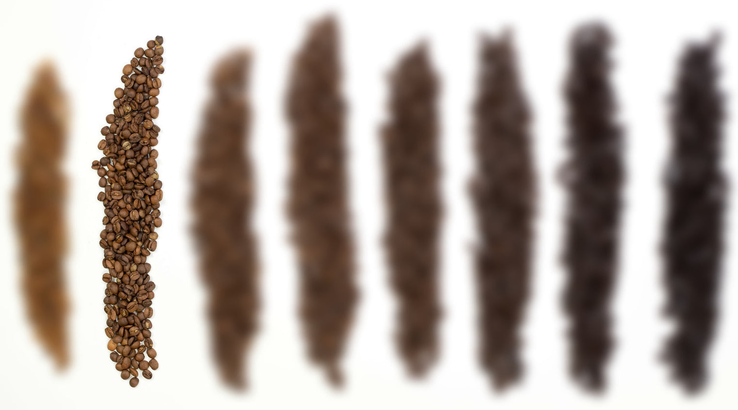 Hawaii Kona Extra Fancy